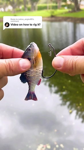 How to Rig the Berkley Gilly for Freshwater Fishing