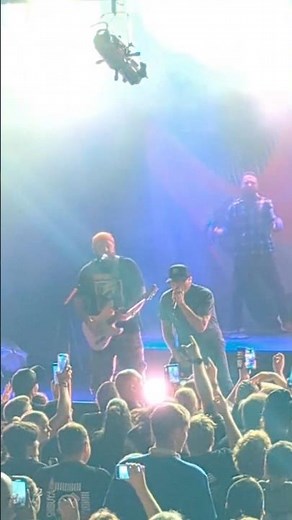 Alien Ant Farm - Movies , Live Sydney #alienantfarm #live #australia