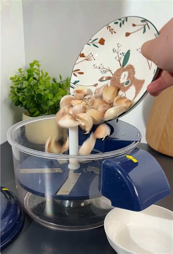 Efficient Fruit Peeler for Every Kitchen