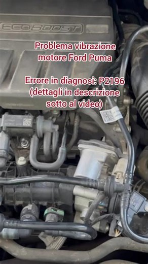 Problema vibrazione motore Ford Puma errore P2196