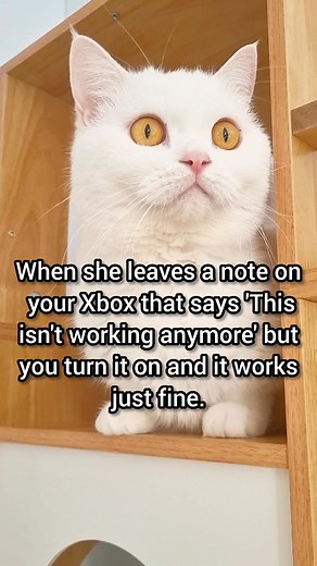 6.3K views · 85 reactions | She said it’s not working… but I just hit power and boom, flawless 路 | Milky The Chill Cat | Facebook