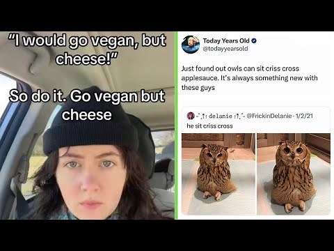 Funny Memes 107 | I would go vegan, but cheese!