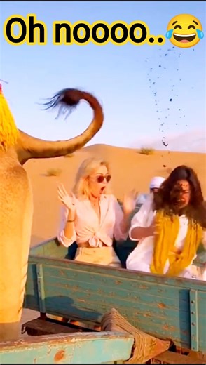 EPIC FAILS😂 “Monkey Savage Reactions 😅 | Funny Fails Video!”