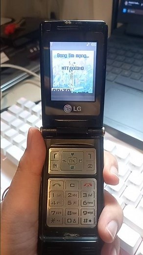 LG P7200 startup and shutdown