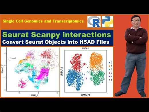 【中文配音】Seurat Scanpy视频教程：将Seurat对象转换为H5AD文件