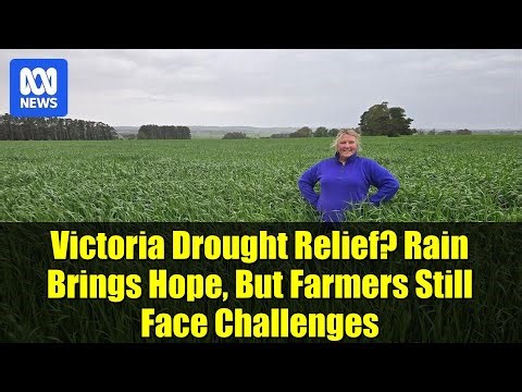 Victoria Drought Relief? Rain Brings Hope, But Farmers Still Face Challenges