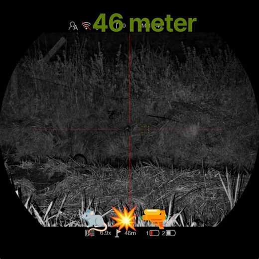 pest control🐀💥🔫 Pard Night Stalker 4k eX #vermincontrol #pestcontrol #pest #nightvision #rats #pard