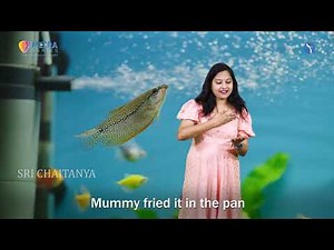 Fishy Fishy In the Brook