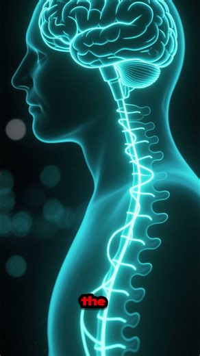 Why ADX Florence Is America’s Most Feared Prison #prisondocumentary #psychology #crimeshorts #crime