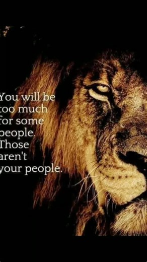 hansrodriguez86 (@hansrodriguez86)’s videos with original sound - hansrodriguez86