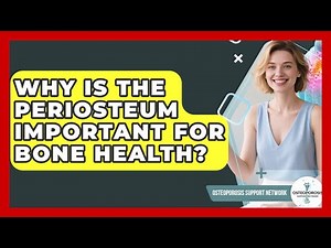 Why Is The Periosteum Important For Bone Health? - Osteoporosis Support Network