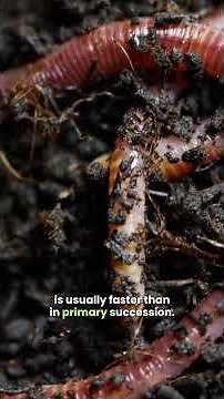 The Incredible Process of Nature Healing Itself #resilience #science