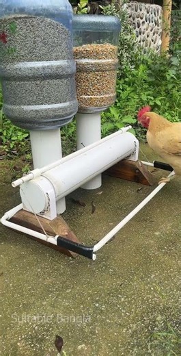 মুরগি পা দিলেই খাবার বের হয় এই পদ্ধতিতে একদানা খাবারও নষ্ট হয় না! Chicken Farming