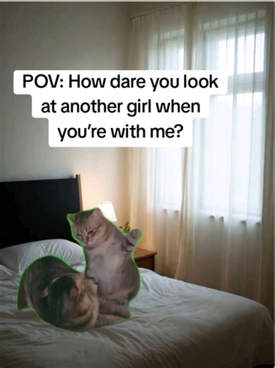 You looked at another girl for 0.2 seconds. Now face the consequences. #pov #jealousgirlfriend #catcouple #catmeme #relationshippov