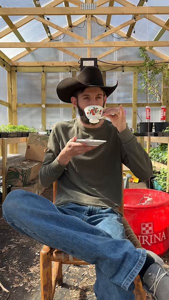 Planting a Tea Garden: From Seed to Cup