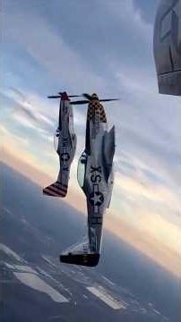 History of the P-51#aviationhistory #warbirdhistory