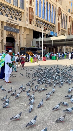 1.1M views · 34K reactions | Beautiful  Makkah Street view | | Minnat Sheikh | Facebook