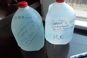 DO IT YOURSELF WEIGHTS