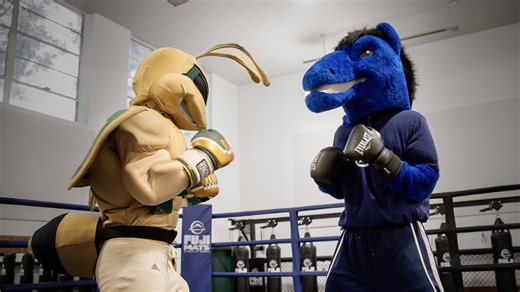 Hornets. Aggies. Rivalry renewed in the ring. 🥊😤 This first in the modern-era boxing showdown between Sac State and UC Davis promises a thrilling evening packed with intensity, athleticism, and school pride—all set in the iconic Sacramento Memorial Auditorium. Don’t miss your chance to witness history as these two rivals battle in the ring! 📅 Friday, Nov. 22 | 7 p.m. 📍 Sacramento Memorial Auditorium 🎟️ hornetsports.com/sports/2024/11/18/2024-causeway-classic-events.aspx No mascots were harm
