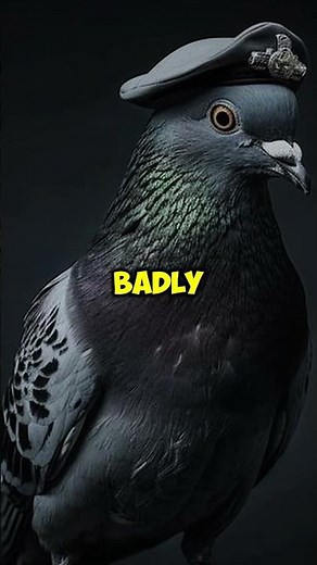 The Pigeon That Saved 194 American Soldiers in World War