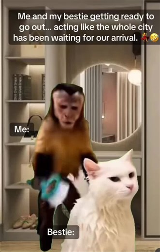 getting the vibes wile getting ready with ya bestie #meme #comedy #humor #flop #bestie