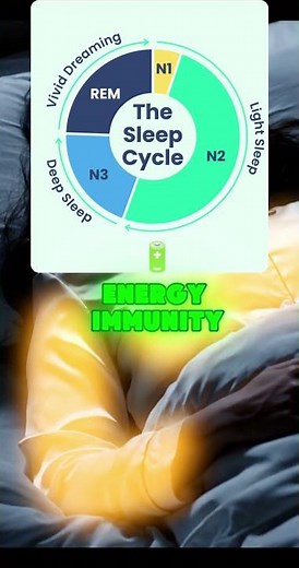 What Happens to Your Brain While You Sleep?