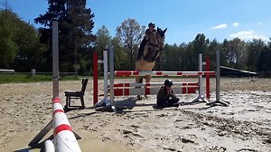 Fun Horse Jumping Compilation | Crazy Moves and Must-See Moments