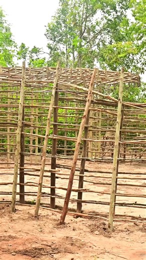 Build Most Tunnel WaterSlide To Swimming Pool Underground