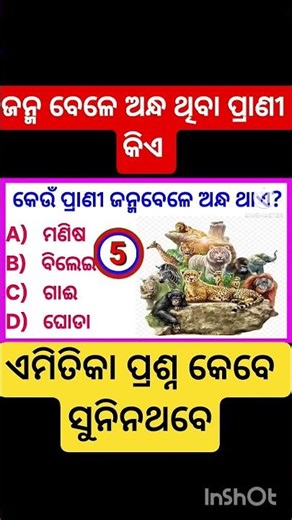 odia general knowledge #odiagk #odiaquiz #shorts #viralshorts #trending