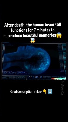 Does Your Brain Replay Memories When You Die? 🧠