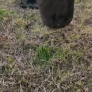 The Rambler® One Gallon Jug is over-engineered to keep your water ice-cold til the last sip, whether it’s enduring a scorching summer work day or a raging car inferno. Click to see why. | YETI