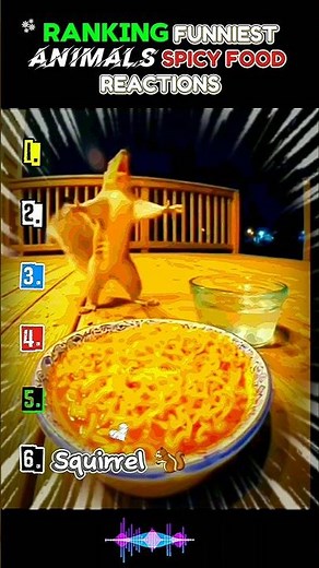 Ranking Funniest Animals Spicy Food Reactions 🤣