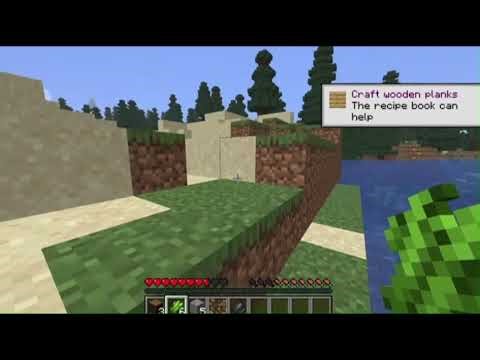 Minecraft but I have phantom pain