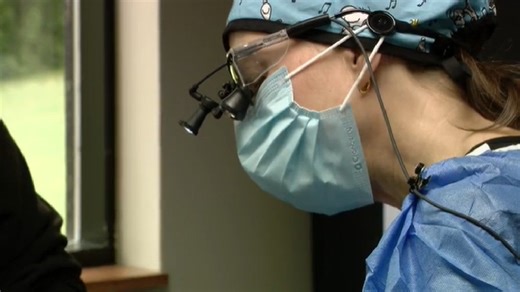 Free trip to the dentist for dozens of people in the Twin Cities