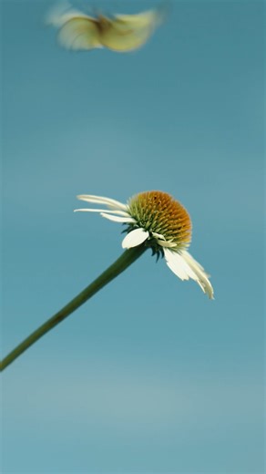 When it's cold and snowy, we are still dreaming of spring 🌸 ☀️ Now is the perfect time to gather inspiration and start planning the plants that will bring your landscape to life. | McKay Nursery Company