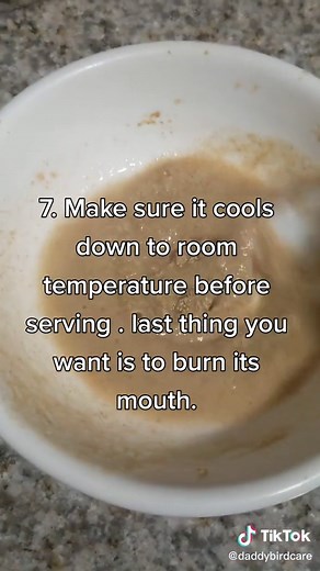 How to Prepare Homemade Baby Bird Food Easily