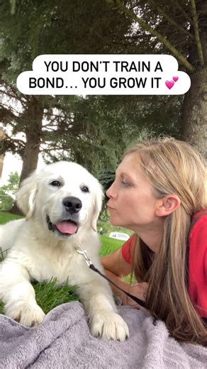 Some things can’t be rushed- like trust, connection, and that unspoken understanding between you and your pup. Every cuddle, every game of fetch, every calm moment together, and every walk strengthens that bond. Training matters, but real partnership grows from meeting needs, love, consistency, and time spent side-by-side. At Red Fern Companions, that’s what we focus on: helping puppies grow into confident dogs who trust deeply and love wholeheartedly. Because you don’t just train a great dog… y