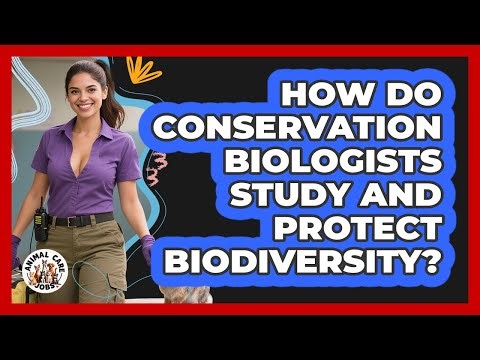 How Do Conservation Biologists Study And Protect Biodiversity? - Animal Care Jobs