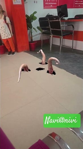 #wildlife #horrorstories #scary #horror #wolf sounds ghost 👽👻😱👽👻👽😱😱👽