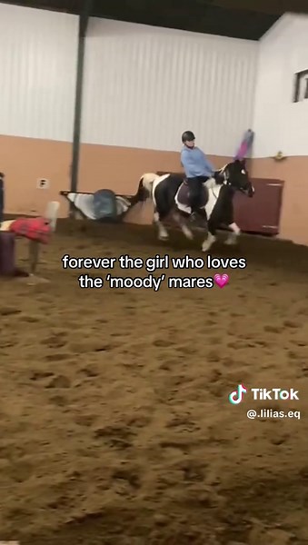 Celebrate the Love for Mares with Pride