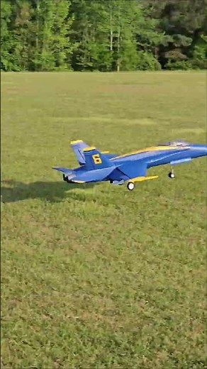 RC Plane Landing: Like Landing on a Carrier Deck! (EPIC)