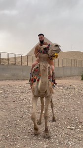 1.5M views · 12K reactions | I beat darbuka on camel | Rafaelo Bortoș | Facebook
