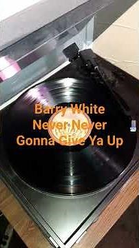 Barry White - Never, Never Gonna Give Ya Up (1973)