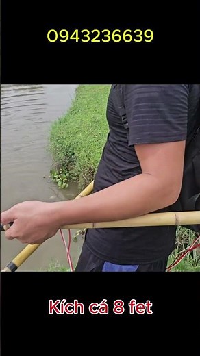 8-feet electric fish shocker for effective tilapia fishing.