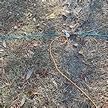 Professional Dog Runner Trolley System，Heavy Duty & Adjustable 55ft Dog Zip Line with 10ft & 15ft Tie Out for Large Dogs Up to 250lbs, Chew Proof Dog Run Cable for Yard, Camping & Outdoor Adventure