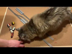 Beginners tutorial model railroad, track plan terminal station, functions of the tracks and shunting