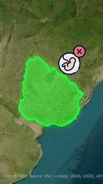South America’s Peaceful Sanctuary: The Incredible Story of Uruguay