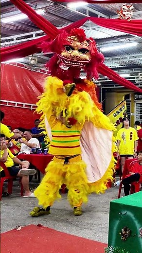 🦁💣🔥POWER Northern Lion Dance in Action!