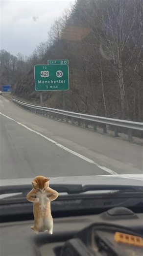 Josh Clark (@joshclark8228)’s videos with Mmm - martoven