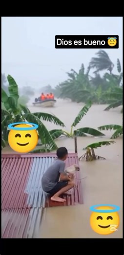 Dios es bueno : #lifestyle #memes #broma #Dios | Carita de Frank 2
